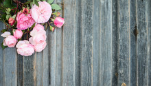 Roses On Weathered Wood Retro Styled Textured Background. Romantic