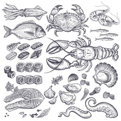 Seafood vector set.