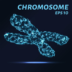 Wall Mural - Chromosome consists of points, lines and triangles. The polygon shape in the form of chromosomes on a dark background. Vector illustration. Graphic concept of a chromosome