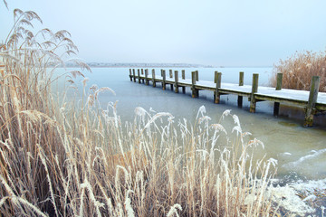 Canvas Print - alter Holzsteg am Ufer des Sees mit bereiften Schilf