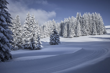 Wall Mural - Vorarlberg_Winter_0185