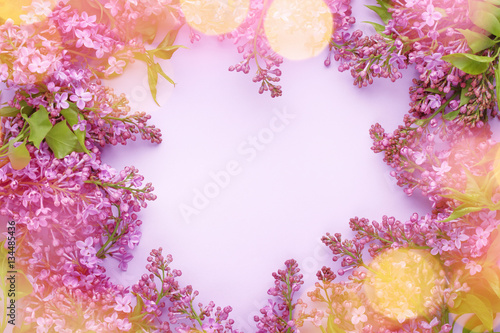Fresh lilac flower