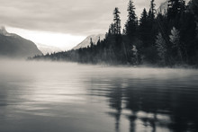 Foggy Forest Lake