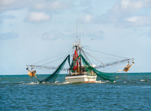 Shrimp Trawler Fishing Boat With Nets Out On Gulf Of Mexico Waters By Florida