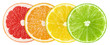 Citrus fruit slices. Grapefruit, orange, lemon, lime isolated on white