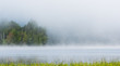 Fog and mist rises all around, partially enshrouding a waterfront deciduous Eastern Ontario forest at a lakeside. 