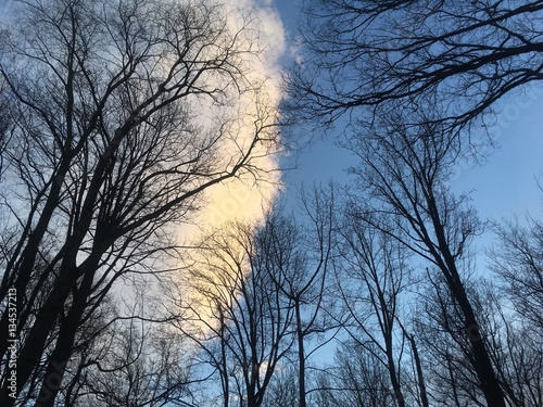 Fényképezés  gigantic cloud in blue winter sky at sunset