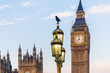 Raven on lampost at Houses of Parliament in early winter morning