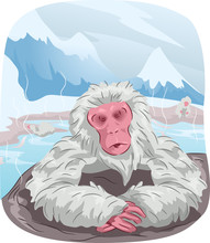 Japanese Macaque Monkey Hot Spring