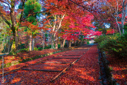京都毘沙門堂の紅葉stock Photo Adobe Stock 京都毘沙門堂の紅葉stock Photo Adobe Stock