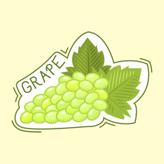 Wall Mural - Bunche of grape badge vector illustration.