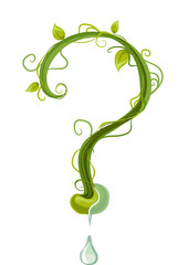 Poster - Question Mark Seedling