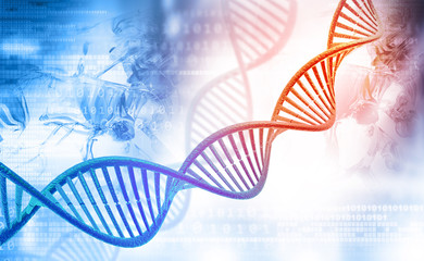 Wall Mural - DNA molecules on digital background