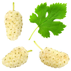 Set of fresh ripe white mulberry berry with leaf isolated on white background. Design element for product label, catalog print, web use.