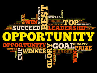 Opportunity word cloud, business concept