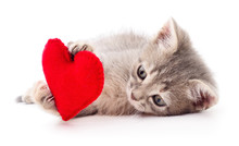 Kitten With Red Heart.