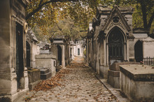 Old French Cemetery Tombs In Autumn
