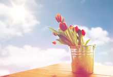 Close Up Of Tulip Flowers In Tin Bucket On Table