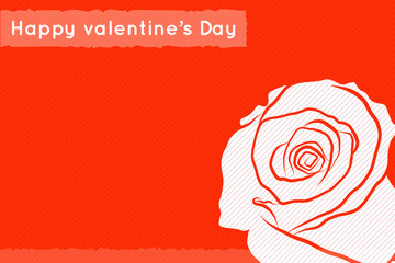 white rose on red background, valentine's day