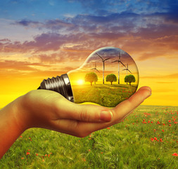 Wall Mural - hand holding eco light bulb with wind turbines at sunset. the concept of sustainable resources.