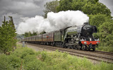 Flying Scotsman at Shere, Surrey 2016