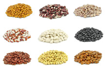 Beans - Black, White, Yellow, Red Kidney, Green, Pointed Pinto Beans