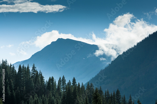 Fotografie, Obraz San Juan Nat'l Forest, near Silverton, Colorado, USA