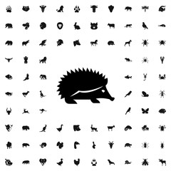 Canvas Print - hedgehog icon illustration