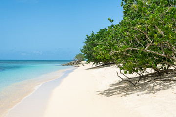 Wall Mural - Beach 