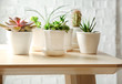 © Africa Studio - Pots with succulents on table against brick wall background