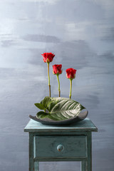 Poster - Flower arrangement on a color background