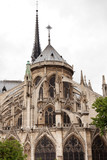Fototapeta Paryż - Notre Dame Cathedral