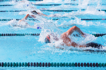 Freestyle swimmers racing