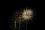 Fototapeta Dmuchawce - Fireworks light up the sky