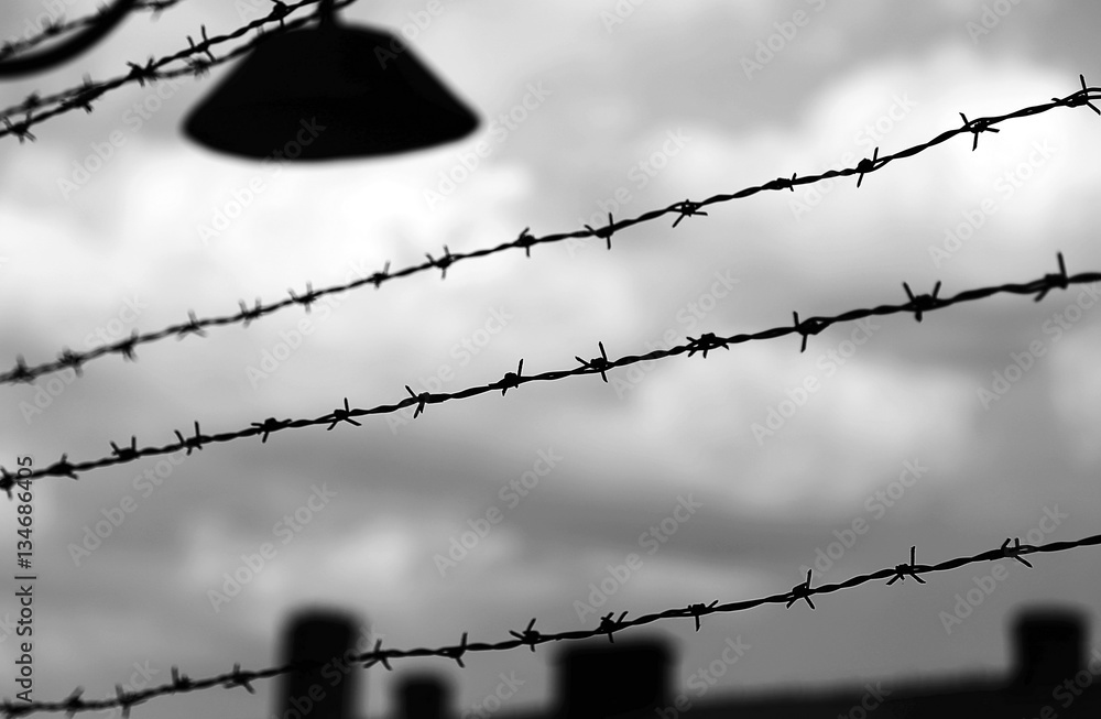barbed wire to demarcate the prison camp - obrazy, fototapety, plakaty 