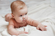 © dashamuller - Soft picture of a beautiful baby boy laying on white bedding