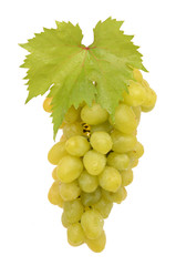 Wall Mural - Ripe grapes