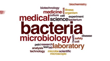 Canvas Print - Bacteria animated word cloud, text design animation.