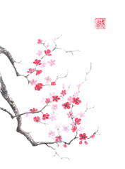  Japanese style sumi-e pink plum blossom ink painting.