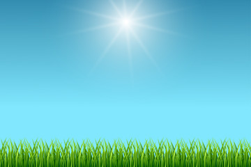 Wall Mural - Clean blue sky and green grass vector background