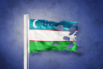 Wall Mural - Torn flag of Uzbekistan flying against grunge background