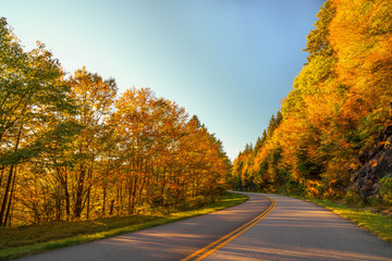 Sticker - fall on the blue ridge parkway