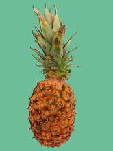 Fruit Pineapple Vintage