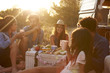 © Monkey Business - Friends talking at a picnic beside their camper van