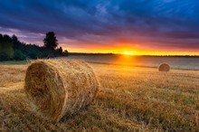 Sunset Over Beautiful Field With Straw Bales.