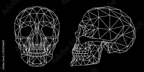 Fotografie, Obraz Teschio umano vista frontale e laterale, illustrazione geometrica di linee bianc