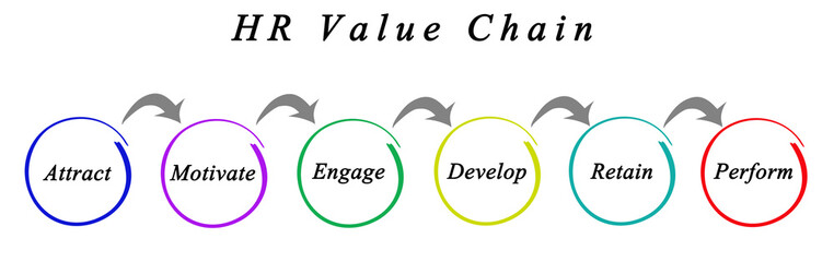 Wall Mural - HR Value Chain