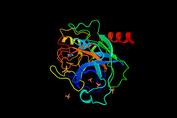 Sticker - Plasma kallikrein, an enzyme formed from plasma prokallikrein. 3