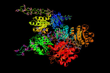 Wall Mural - Von Willebrand factor, a blood glycoprotein involved in hemostas