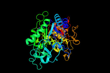 Poster - Amylase protein (3d structure). Digestive enzyme, responsible fo